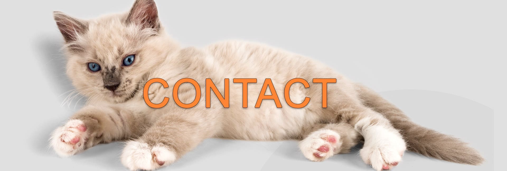 Happy Toms contact
